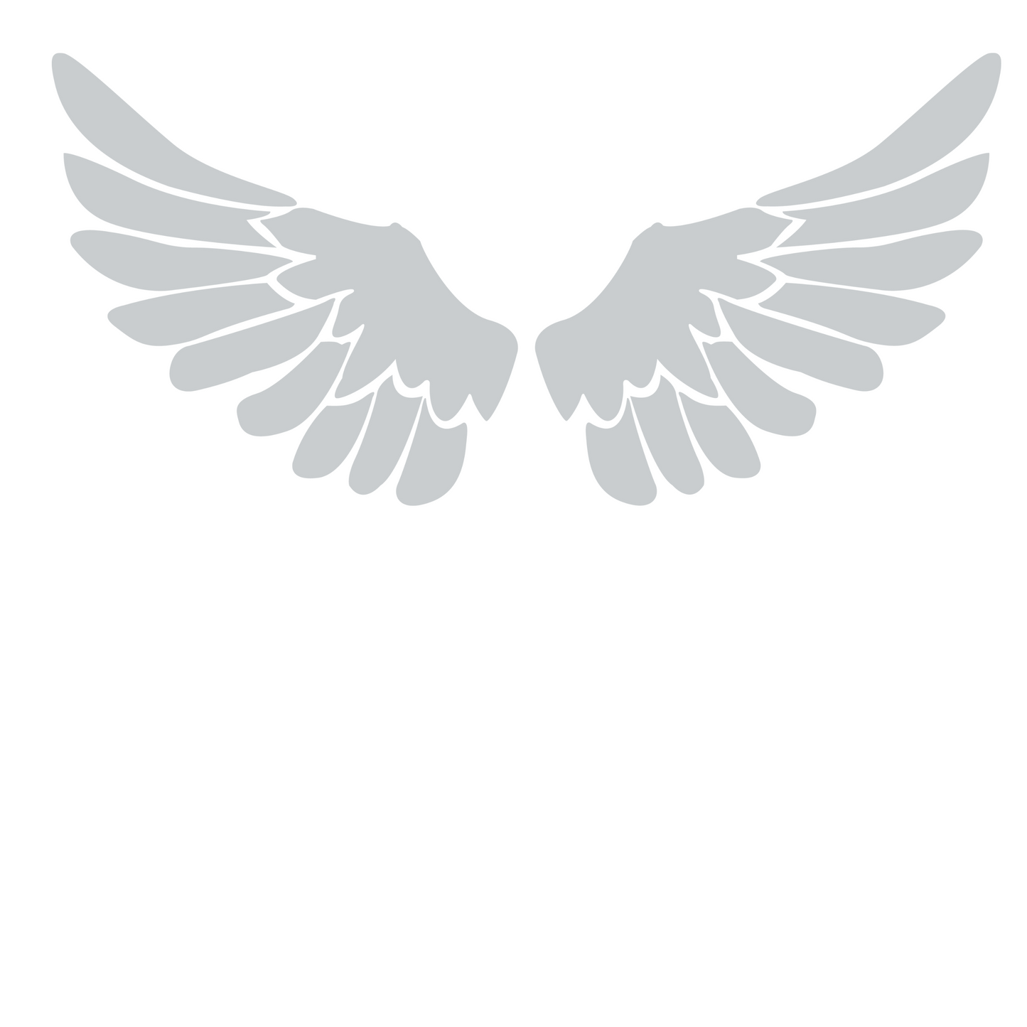 Angel Wing Fender Decal