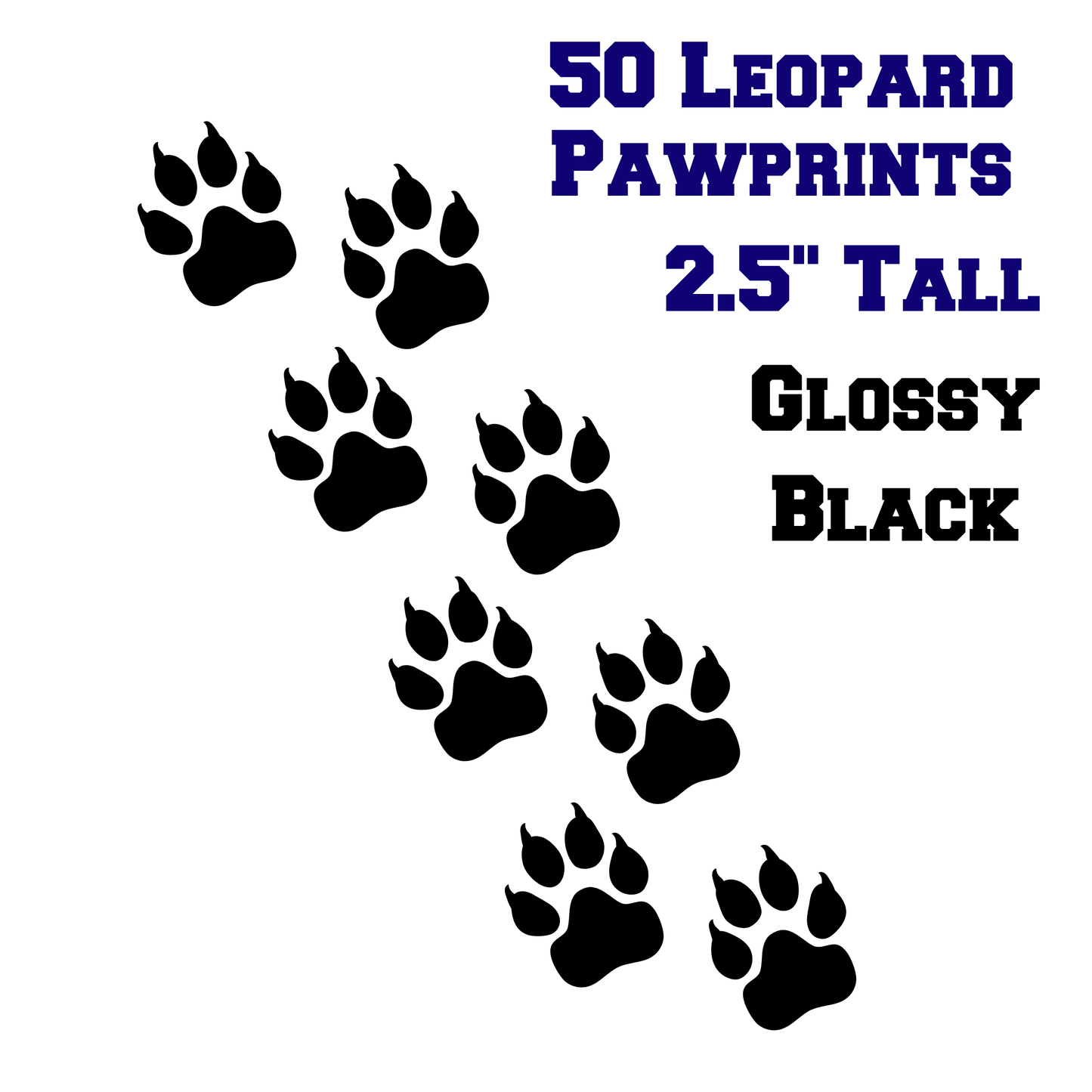 50 Leopard PawPrints